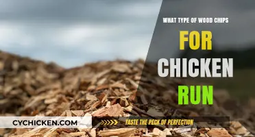 Best Wood Chips for Chicken Runs: Safe and Practical Options