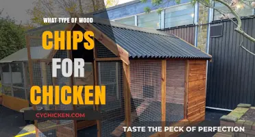 Choosing the Best Wood Chips for Your Chicken Coop: A Guide