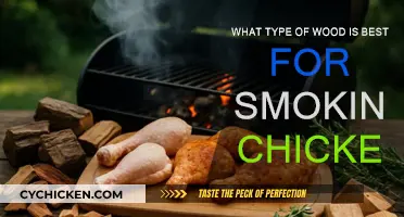 Best Wood for Smoking Chicken: Picking the Perfect Flavor
