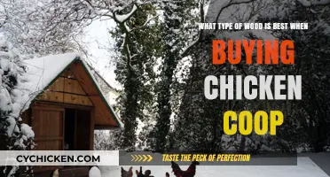 Choosing the Ideal Wood for Your Chicken Coop: A Buyer's Guide