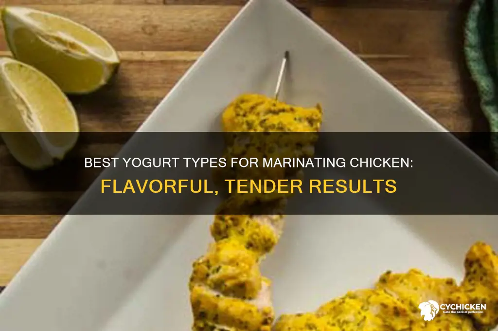 what type of yogurt to marinate chicken