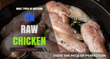 Unseen Dangers: Types of Bacteria Lurking on Raw Chicken Explained