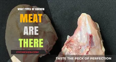 Exploring Different Types of Chicken Meat: A Comprehensive Guide