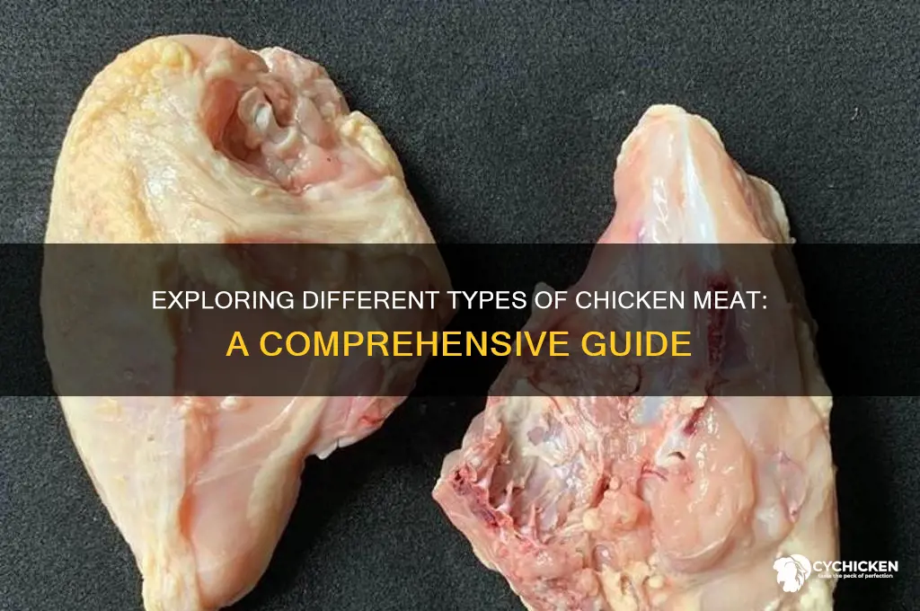 what types of chicken meat are there