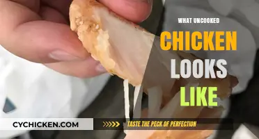 Uncooked Chicken: Appearance, Texture, and Freshness Guide for Beginners