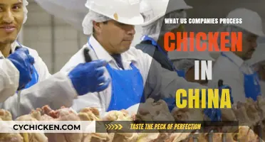 US Companies Processing Chicken in China: What You Need to Know