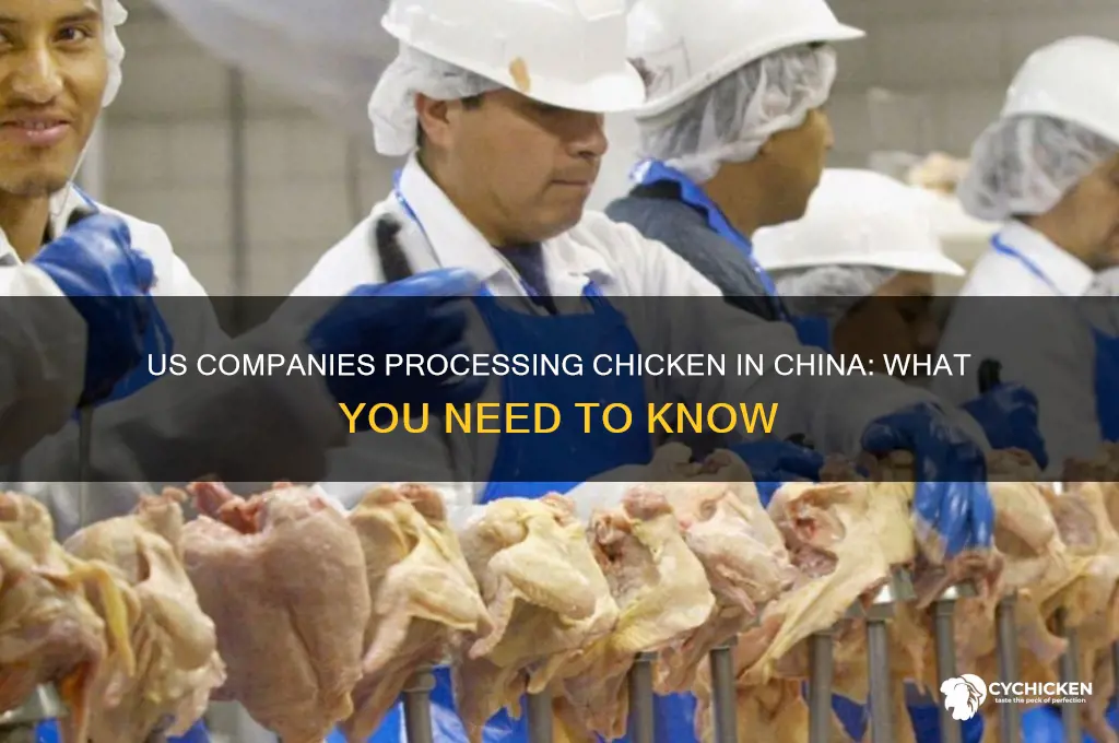 what us companies process chicken in china