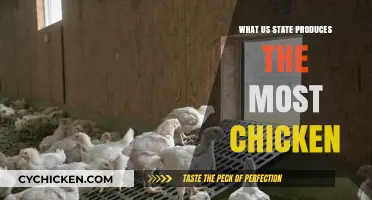 Top Chicken-Producing State in the U.S.: A Surprising Leader