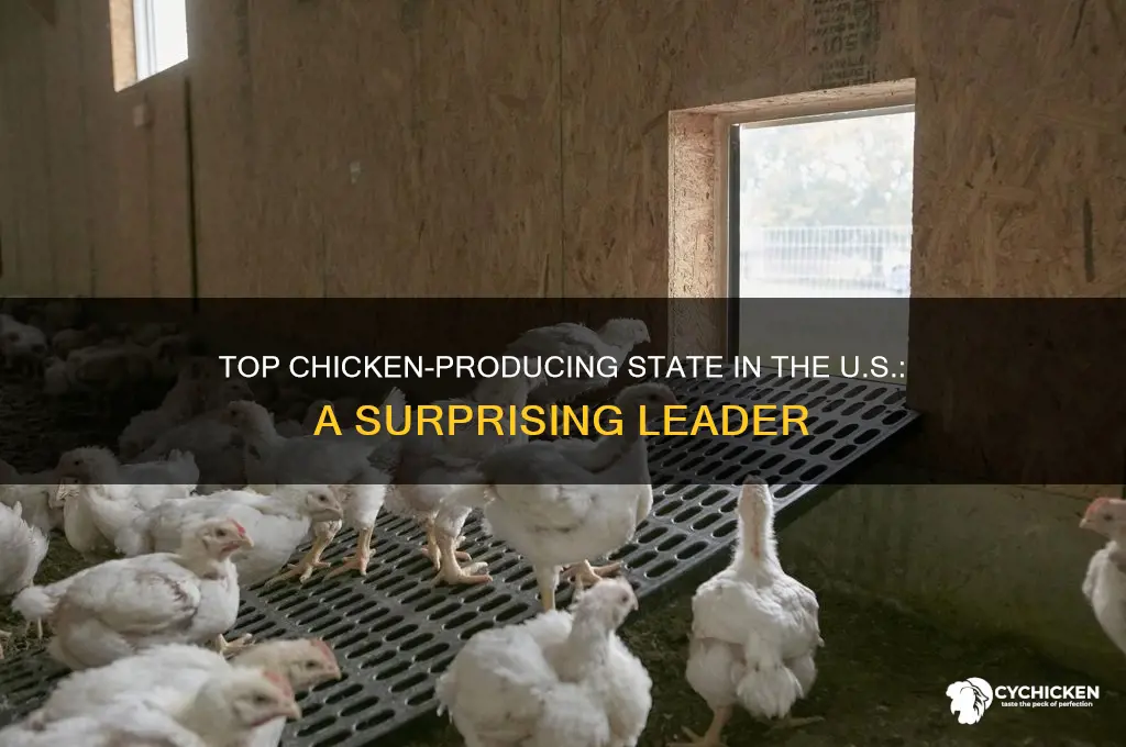 what us state produces the most chicken