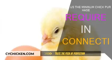 Understanding Connecticut's Minimum Chick Purchase Laws