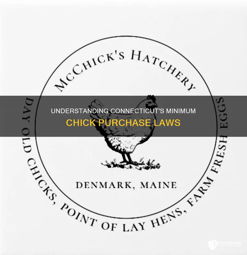 what us the mininum chick pur hase requirement in connecticut