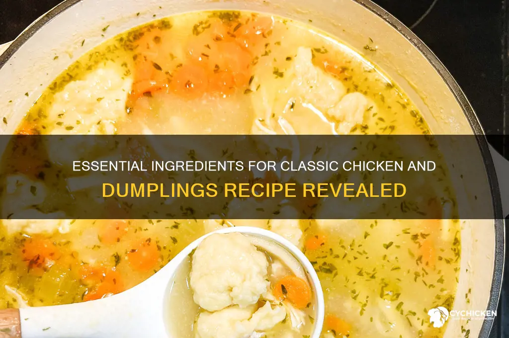 what usually goes in chicken and dumplings