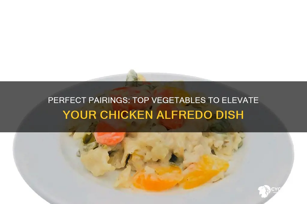 what vegetable goes well with chicken alfredo