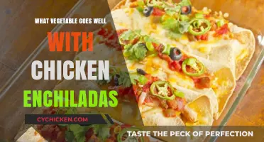 Perfect Pairings: Best Vegetables to Complement Chicken Enchiladas
