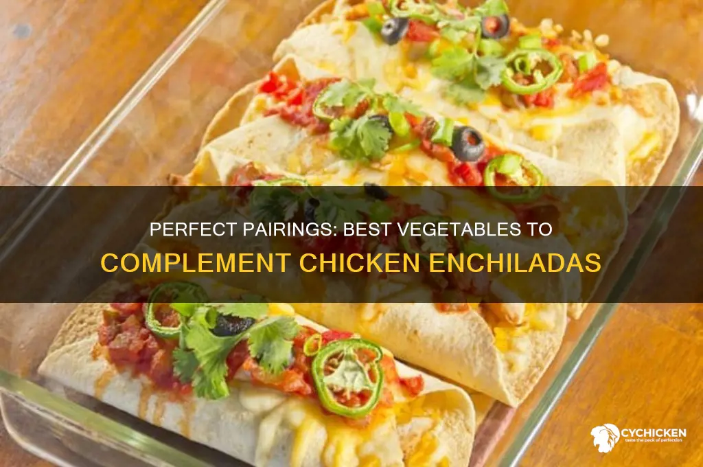 what vegetable goes well with chicken enchiladas