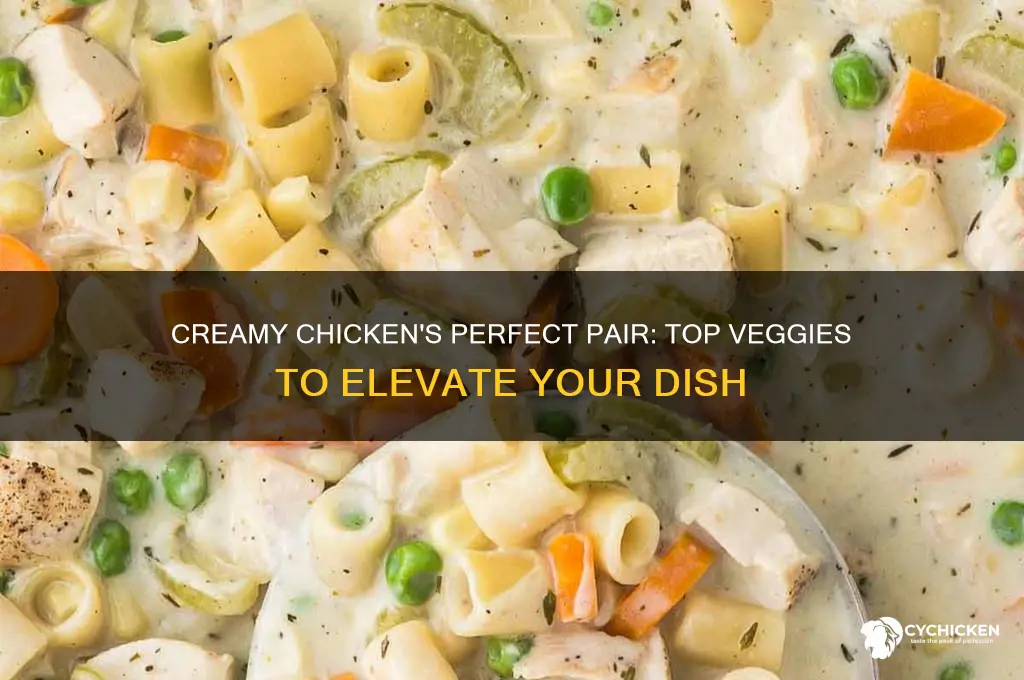 what vegetable goes well with creamy chicken