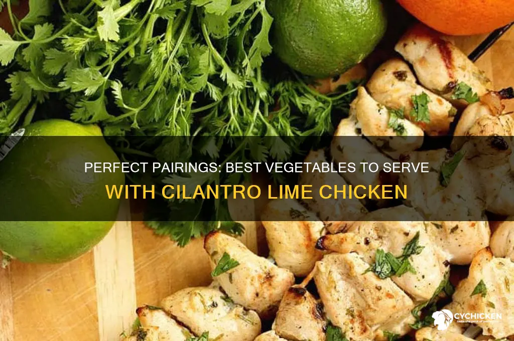 what vegetable goes with cilantro lime chicken