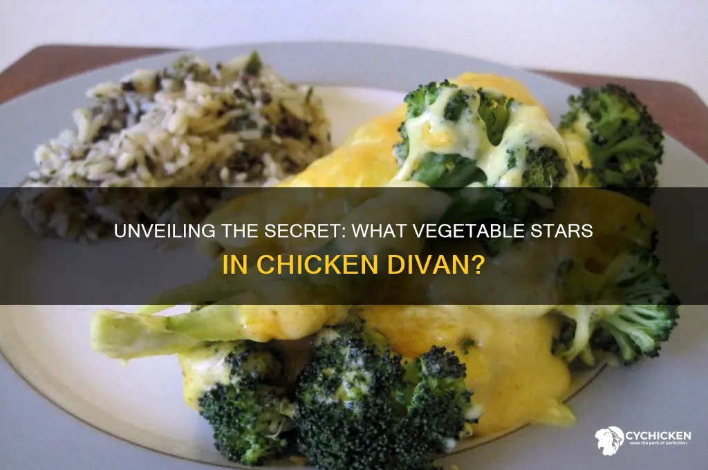 what vegetable is found in chicken divan
