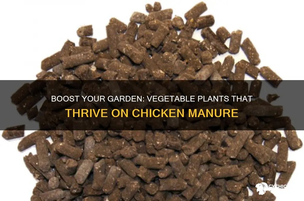 what vegetable plants like chicken manure