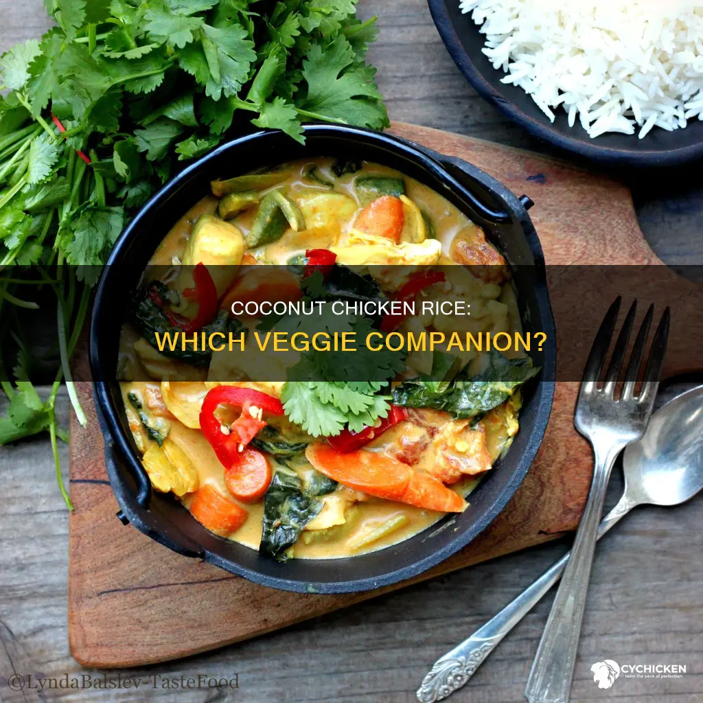 what vegetable should i have with coconut chicken rice dish