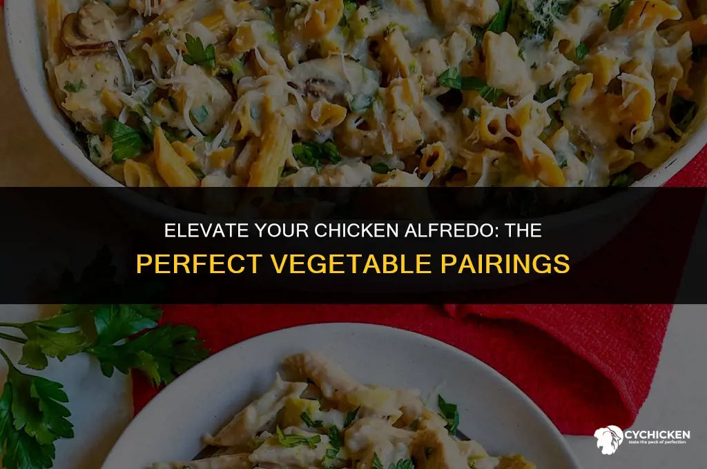 what vegetable to serve with chicken alfredo