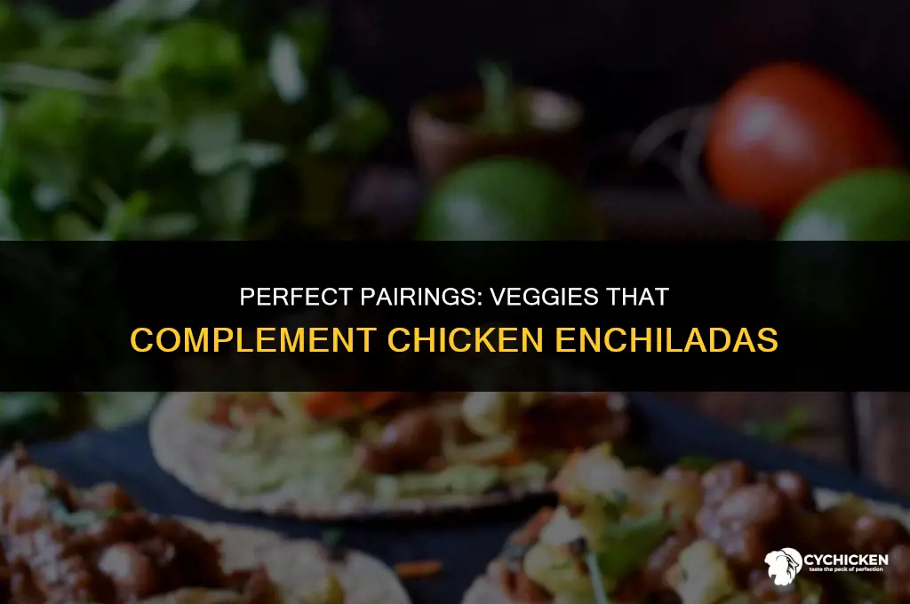 what vegetable to serve with chicken enchiladas