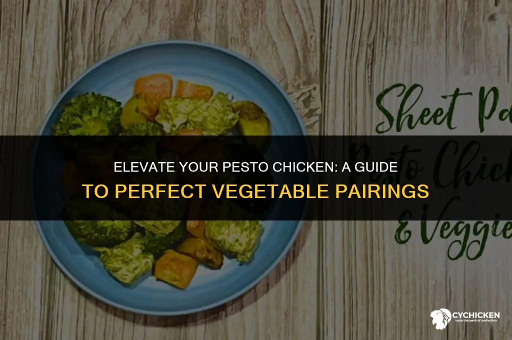 what vegetable to serve with pesto chicken