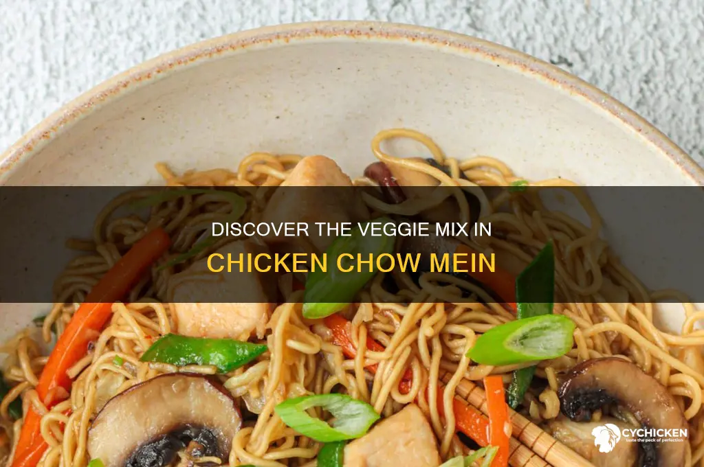 what vegetables are in chicken chow mein