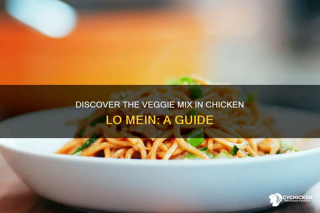 what vegetables are in chicken lo mein