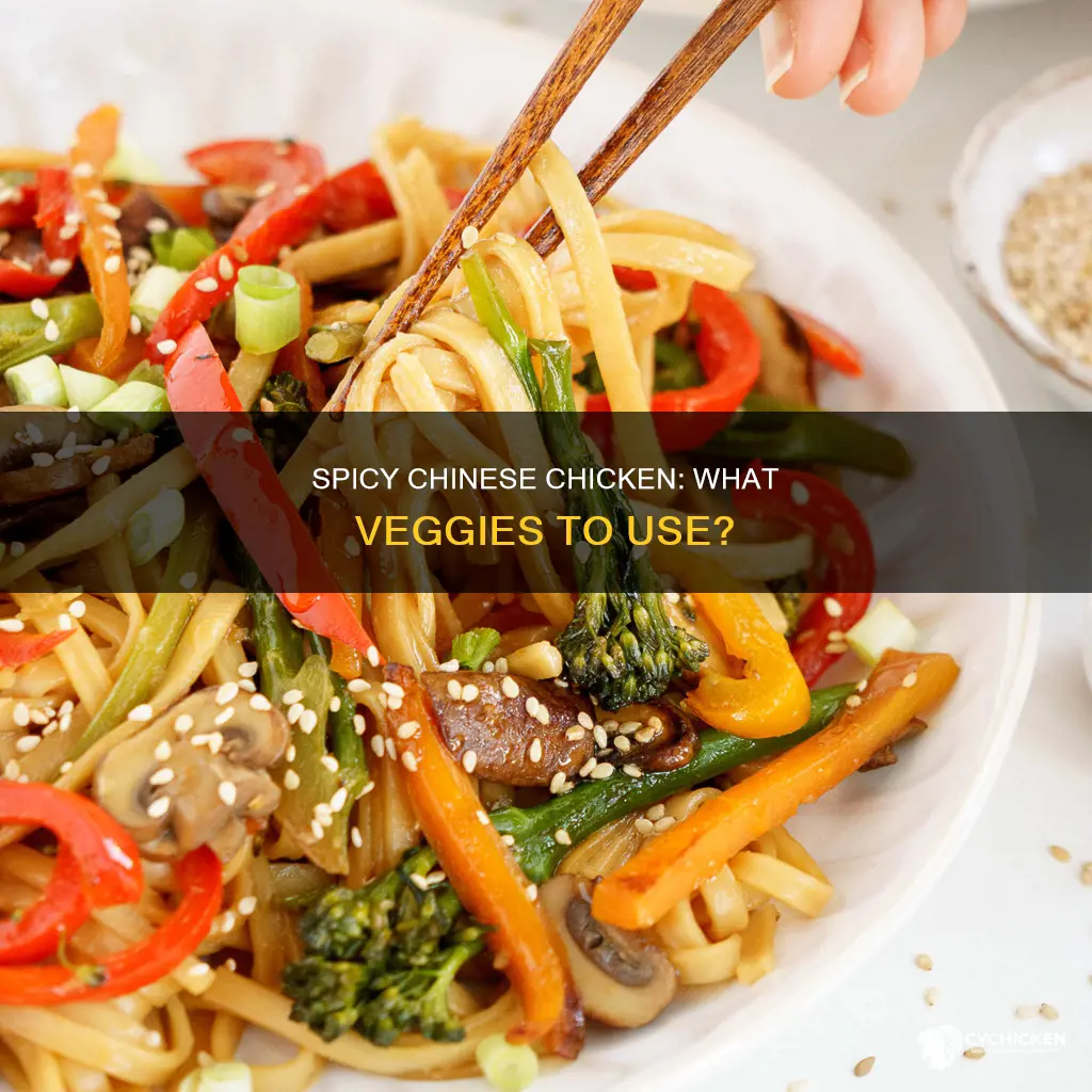 what vegetables are in hot and spicy chicken chinese style