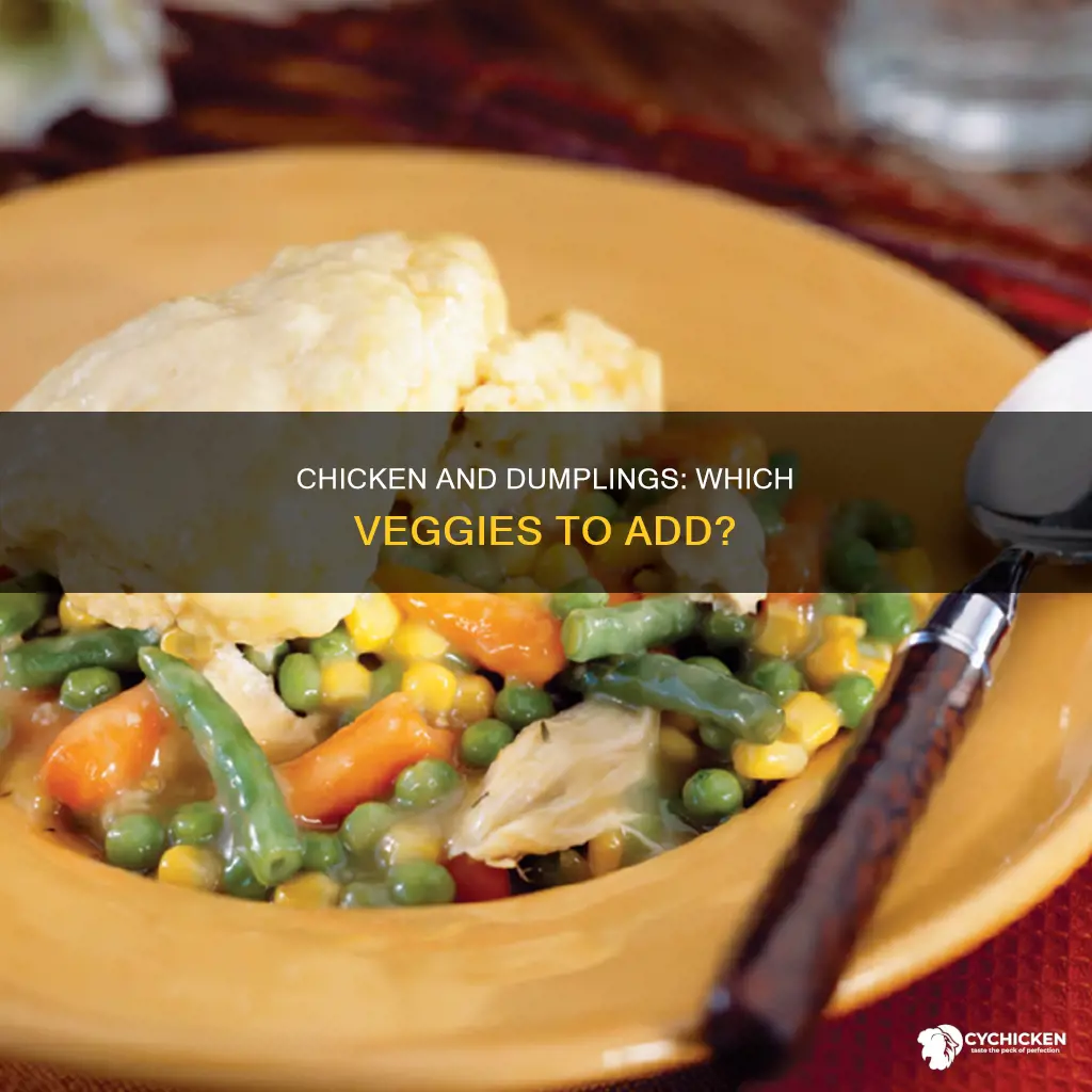 what vegetables do you put in chicken and dumplings