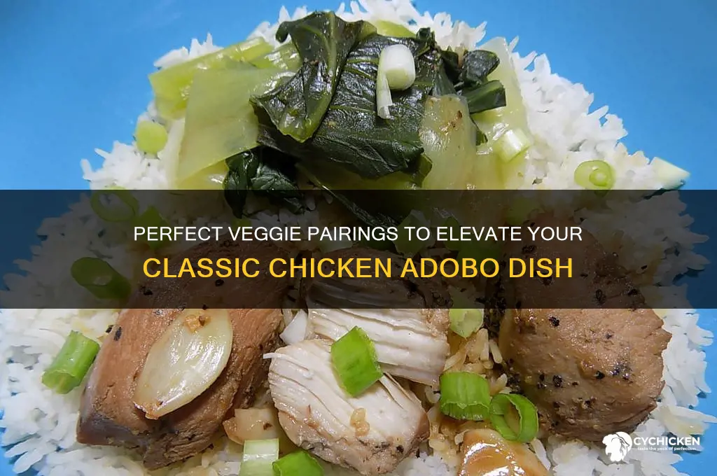 what vegetables go well with chicken adobo