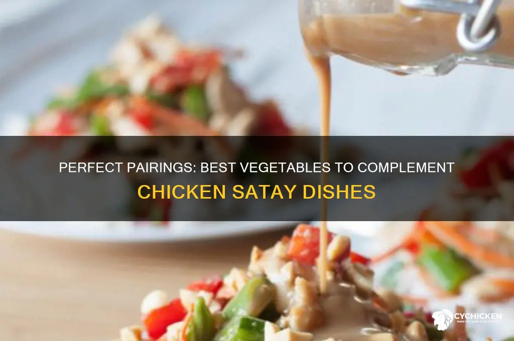 what vegetables go well with chicken satay