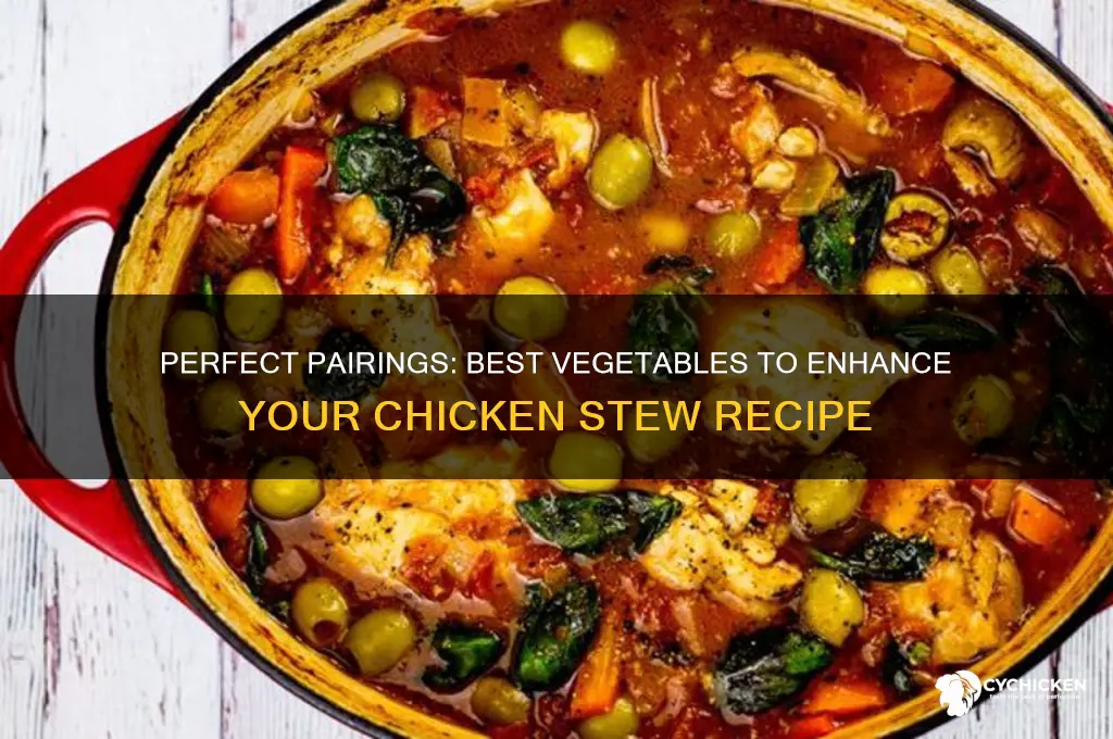 what vegetables go well with chicken stew
