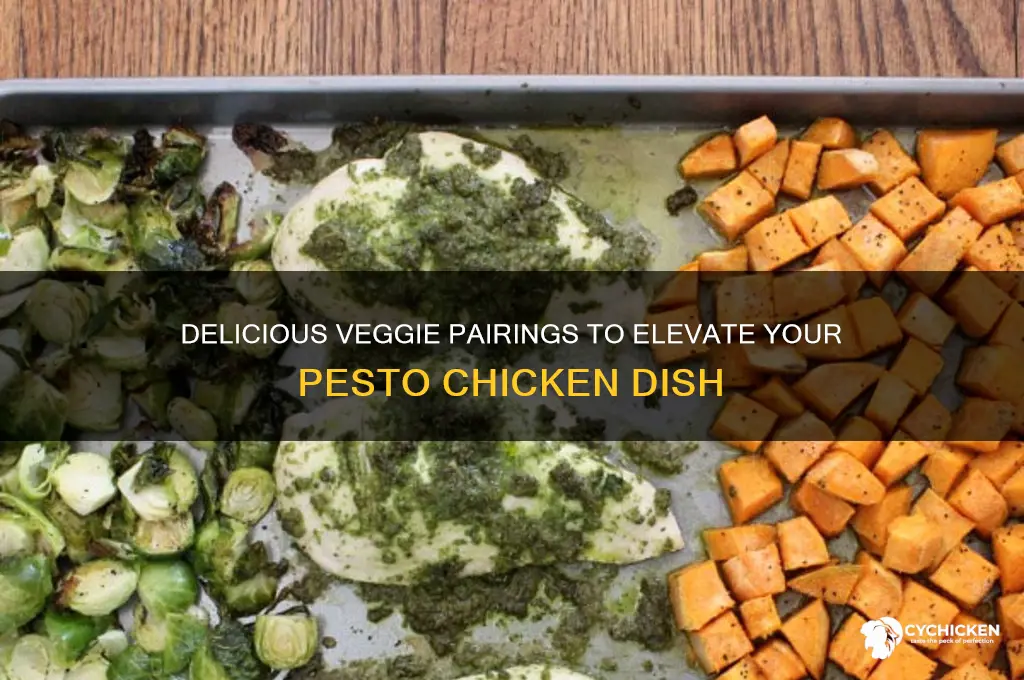 what vegetables go well with pesto chicken