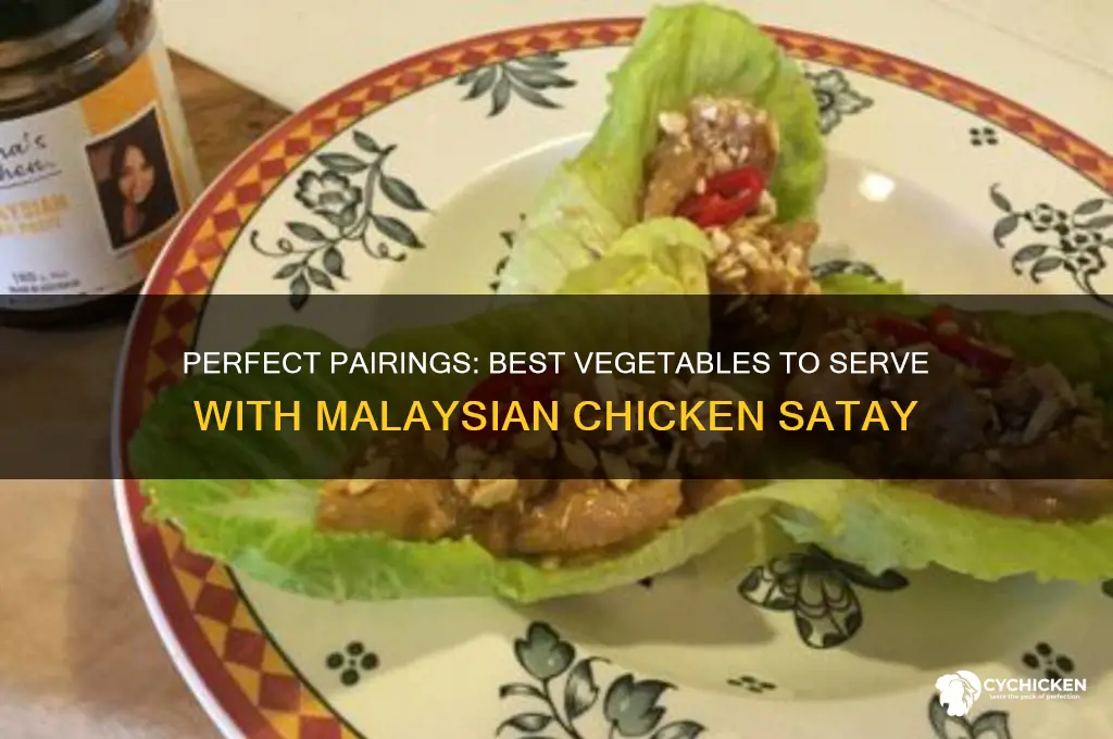 what vegetables go with malaysian chicken satay