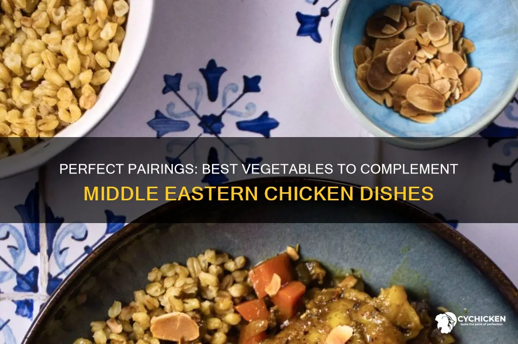 what vegetables go with middle eastern chicken