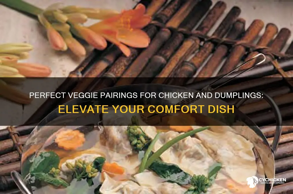 what vegetables goes with chicken and dumplings