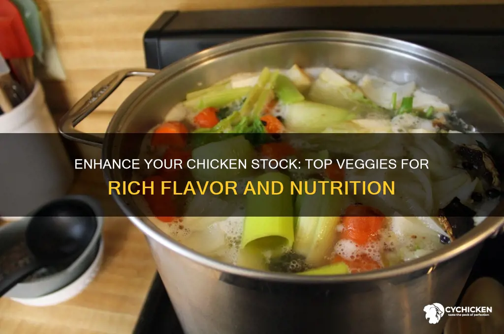 what vegetables to add to stock chicken