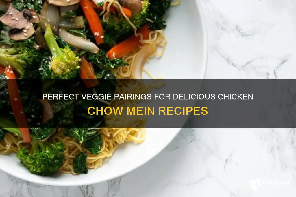 what vegetables to put in chicken chow mein