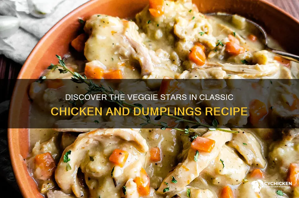 what veggies are in chicken and dumplings