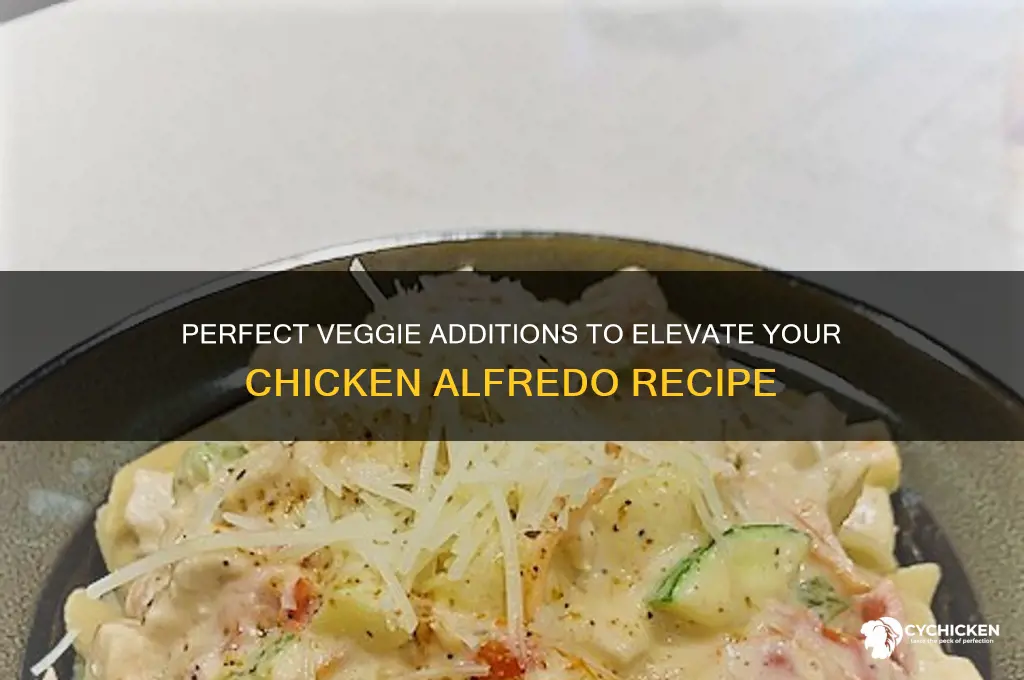 what veggies do you put in chicken alfredo