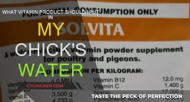 Best Vitamins for Your Chicks: Water-Soluble Options