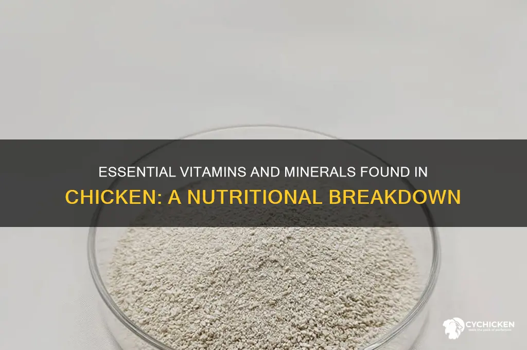 what vitamins and minerals are in chicken
