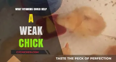 Boosting Weak Chicks' Health: Essential Vitamins for Growth and Strength