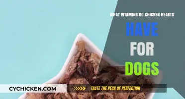 Chicken Hearts for Dogs: Essential Vitamins and Nutritional Benefits