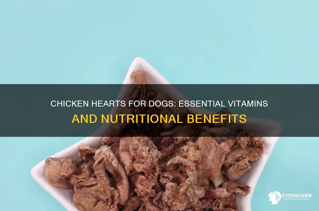 what vitamins do chicken hearts have for dogs