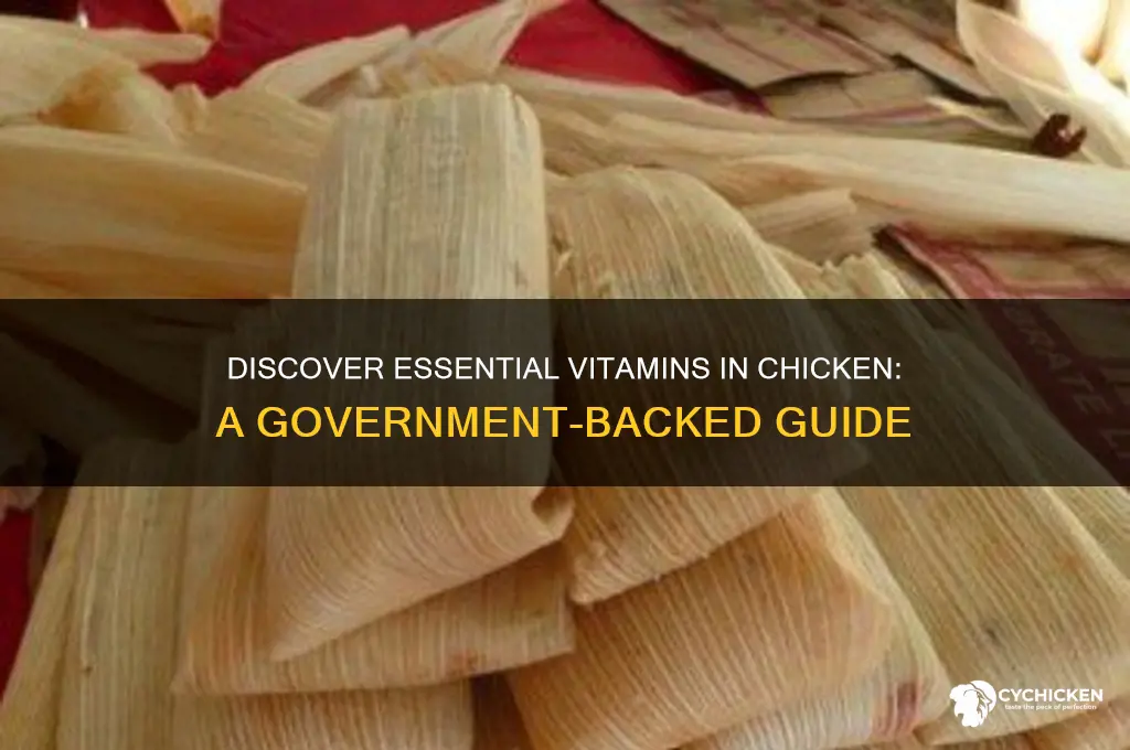 what vitamins does chicken have site gov