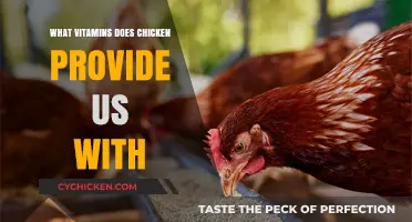 Nutritional Benefits: Essential Vitamins Found in Chicken for a Healthy Diet