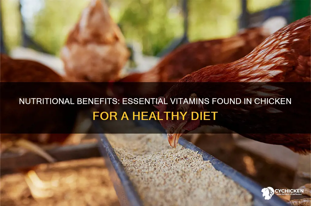 what vitamins does chicken provide us with